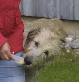 Origin Outdoors Squeeze tubus Újratölthető tréning etető kutyáknak, 2 db 200 ml