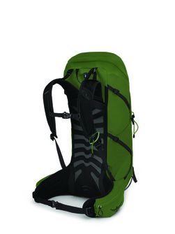 OSPREY túra hátizsák TALON 36,  green belt/black