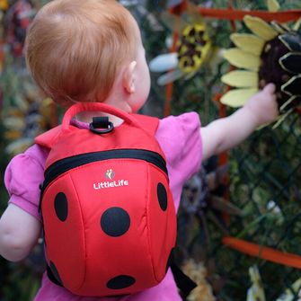 LittleLife Baby hátizsák katicabogár motívummal 2 l