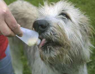 Origin Outdoors Squeeze tubus Újratölthető tréning etető kutyáknak, 2 db 200 ml