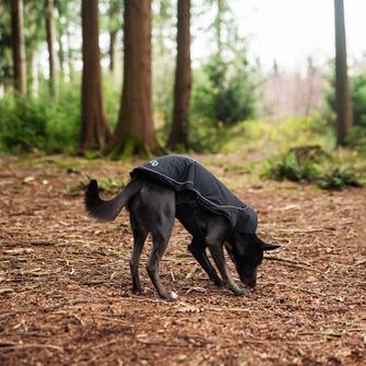 Mountain Paws köpeny kutyának közepes méretű