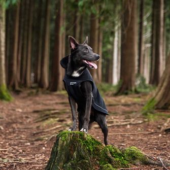 Mountain Paws kutya köpeny kicsi