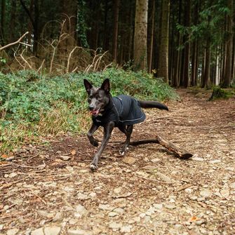 Mountain Paws kutya köpeny nagy